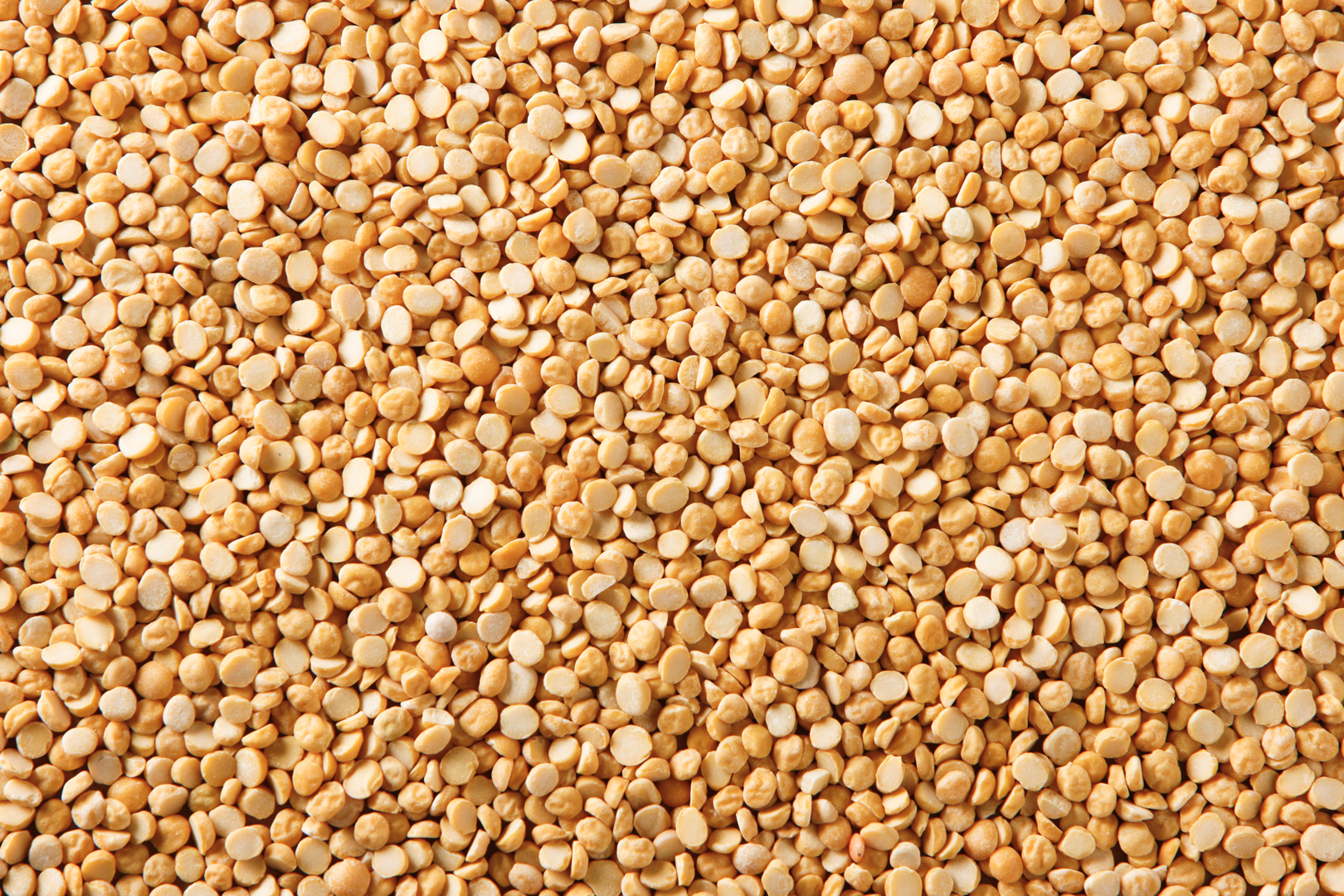 Split Desi Chickpeas / Chana Dal