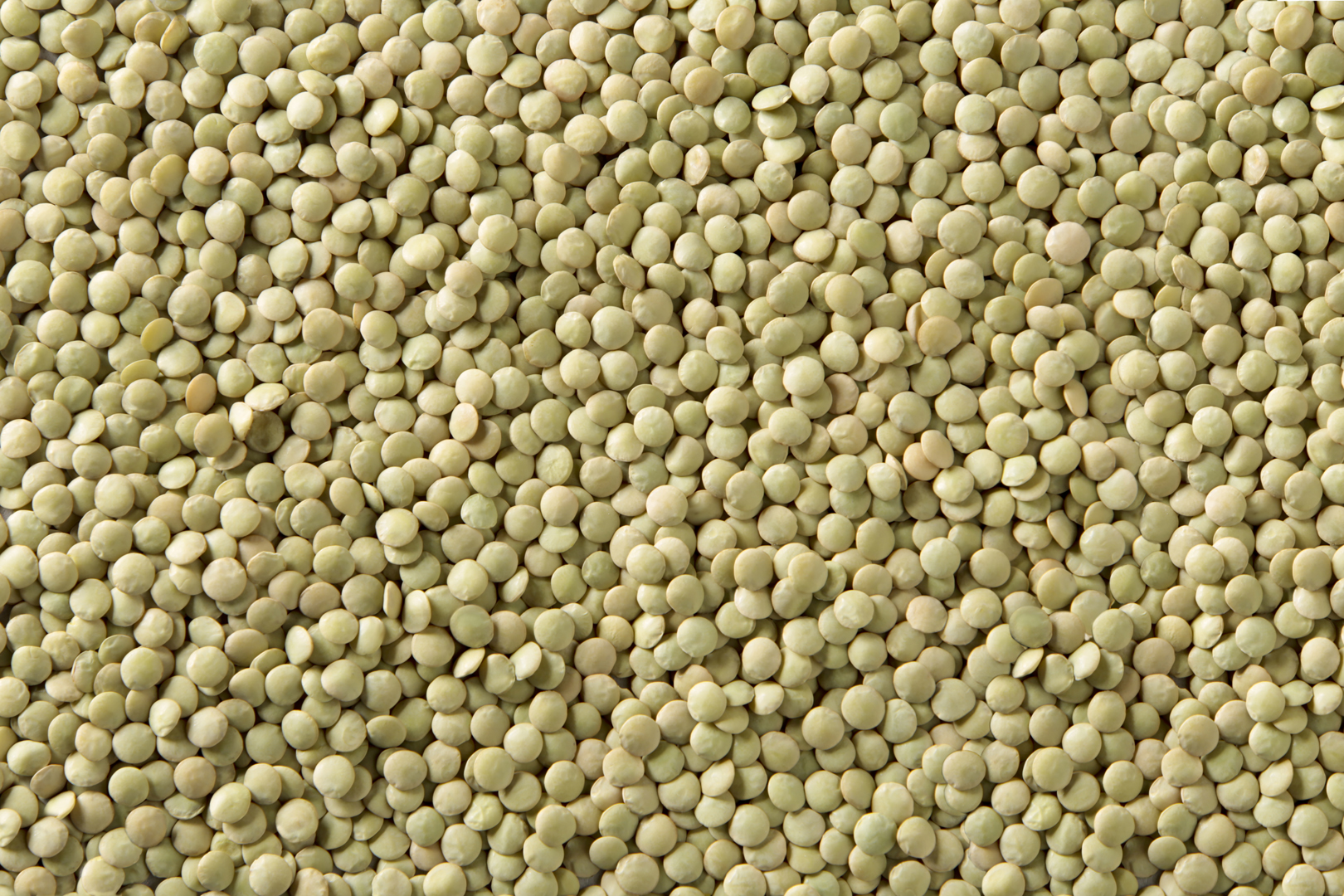 Laird Green Lentils