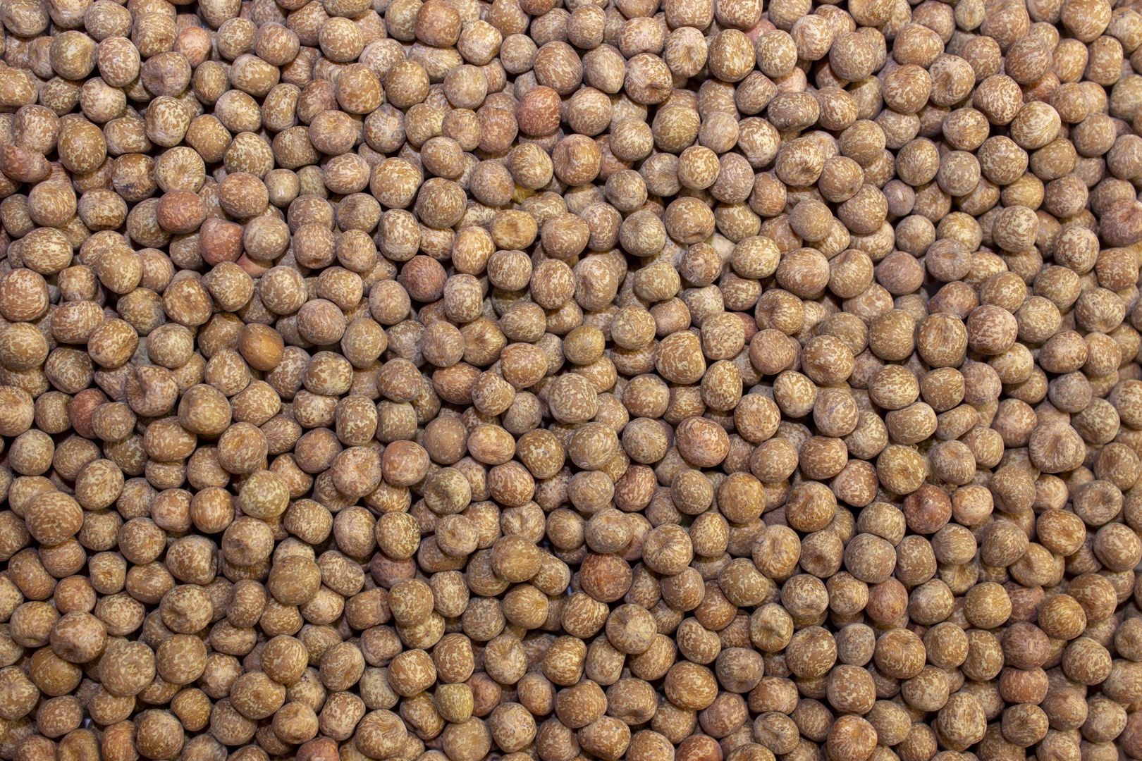 Maple Peas