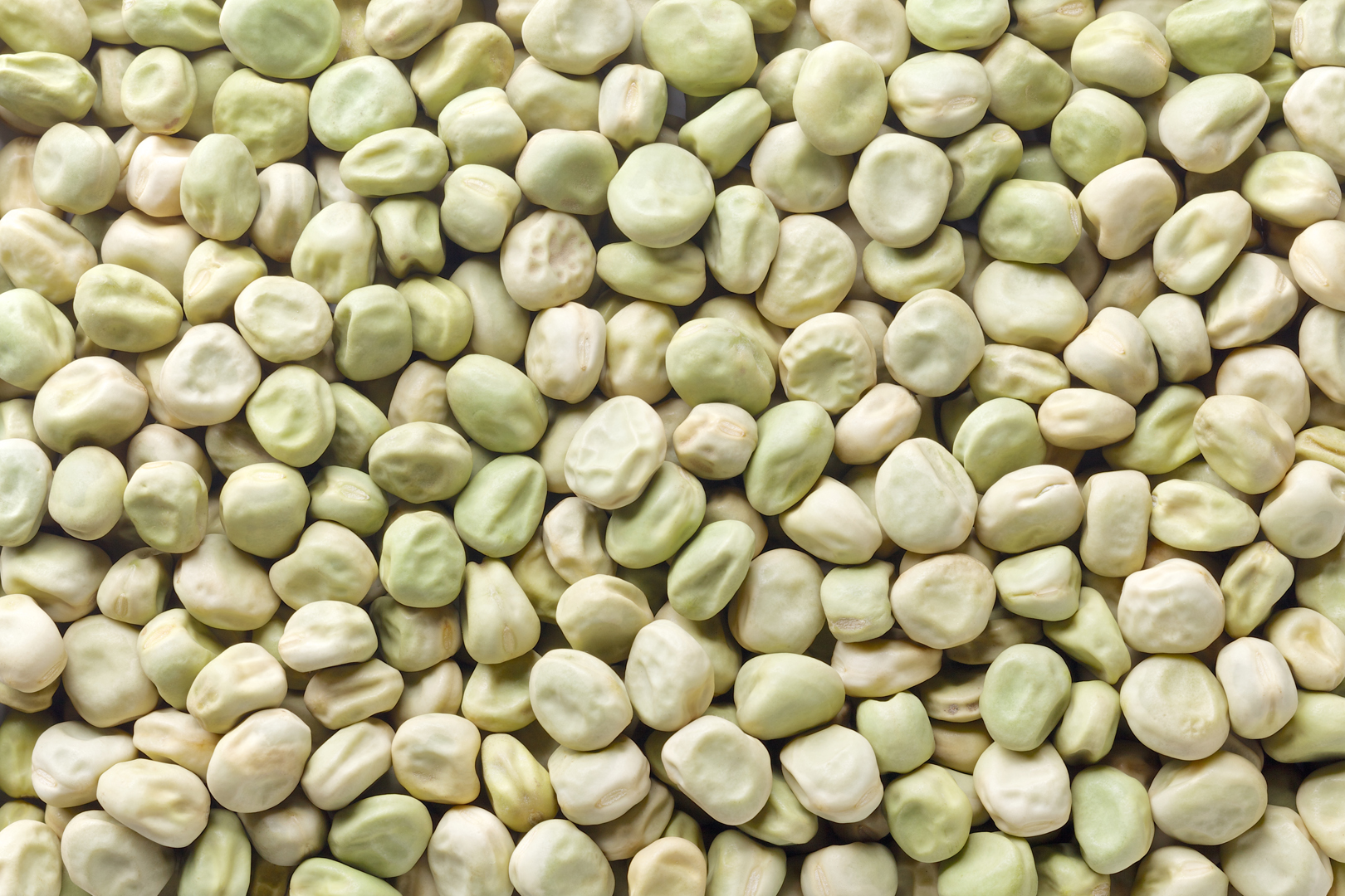 Marrowfat Peas