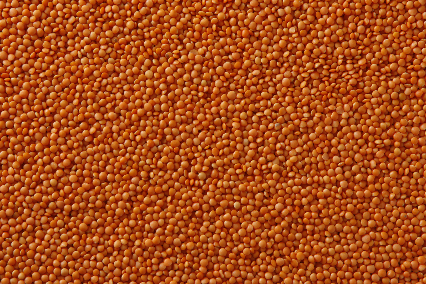 Red Football Lentils